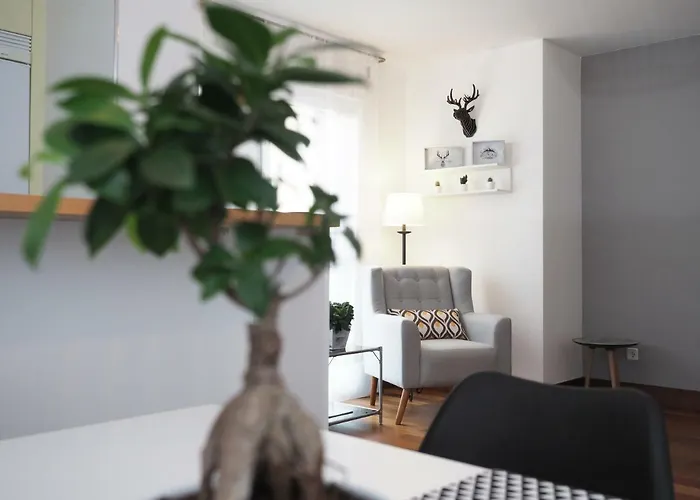 Apartamento Monte Perdido Boltaña